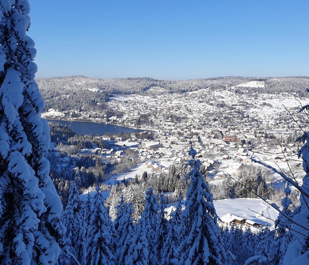 Apartement Sur Les Hauteurs De Gerardmer Avec Une Superbe Vue 外观 照片