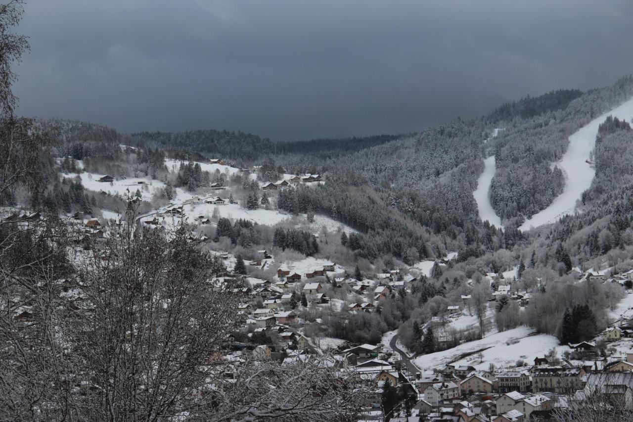 Apartement Sur Les Hauteurs De Gerardmer Avec Une Superbe Vue 外观 照片